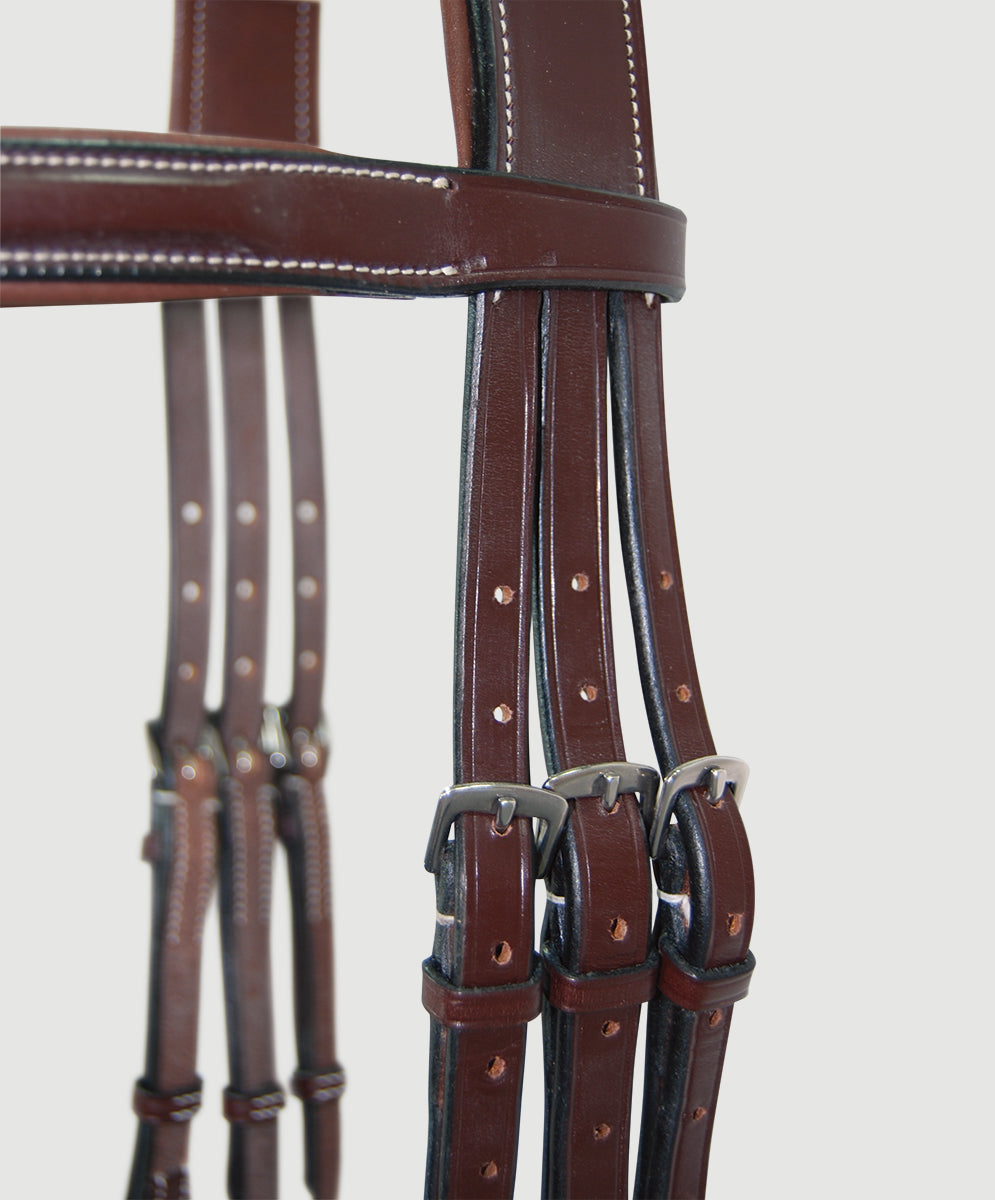 HBW209 Bridle, Anatomic, Raised with Flash C.M. Hadfield's Saddlery Inc.