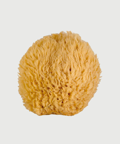 Large Natural Tack Sponge